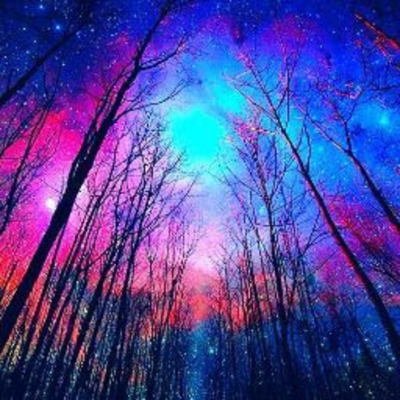 Meet your Posher, Omar - Picture 1 of 1